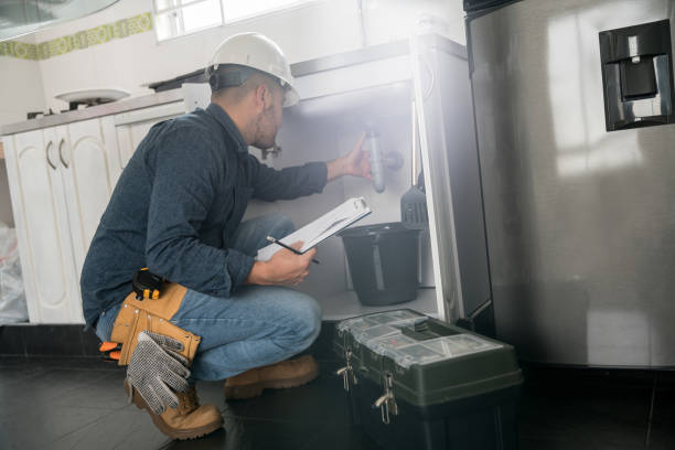Best Commercial Plumbing Services  in Bridgman, MI