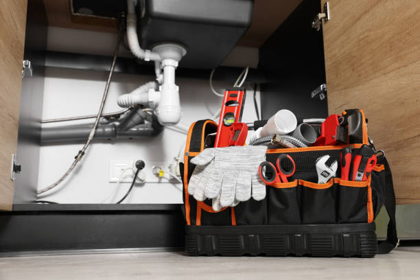 Best Emergency Plumbing Repair  in Bridgman, MI