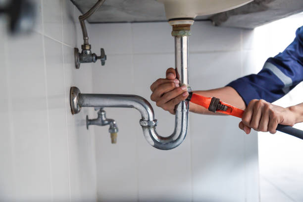 Best Best Plumbers Near Me  in Bridgman, MI