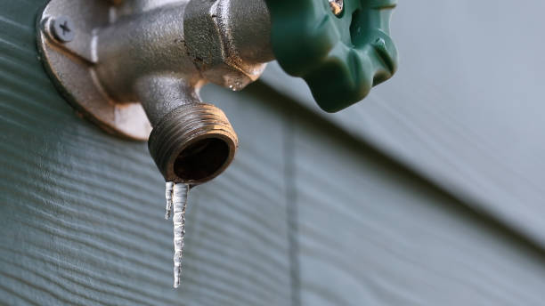 Trusted Bridgman, MI Plumbing Experts