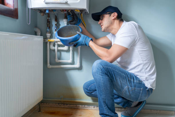 Best Emergency Plumber  in Bridgman, MI