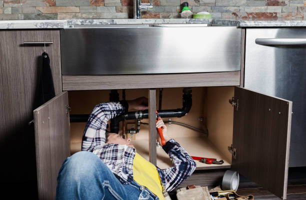 Best Plumbing Repair Near Me  in Bridgman, MI
