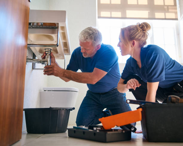 Best 24-Hour Plumber Near Me  in Bridgman, MI